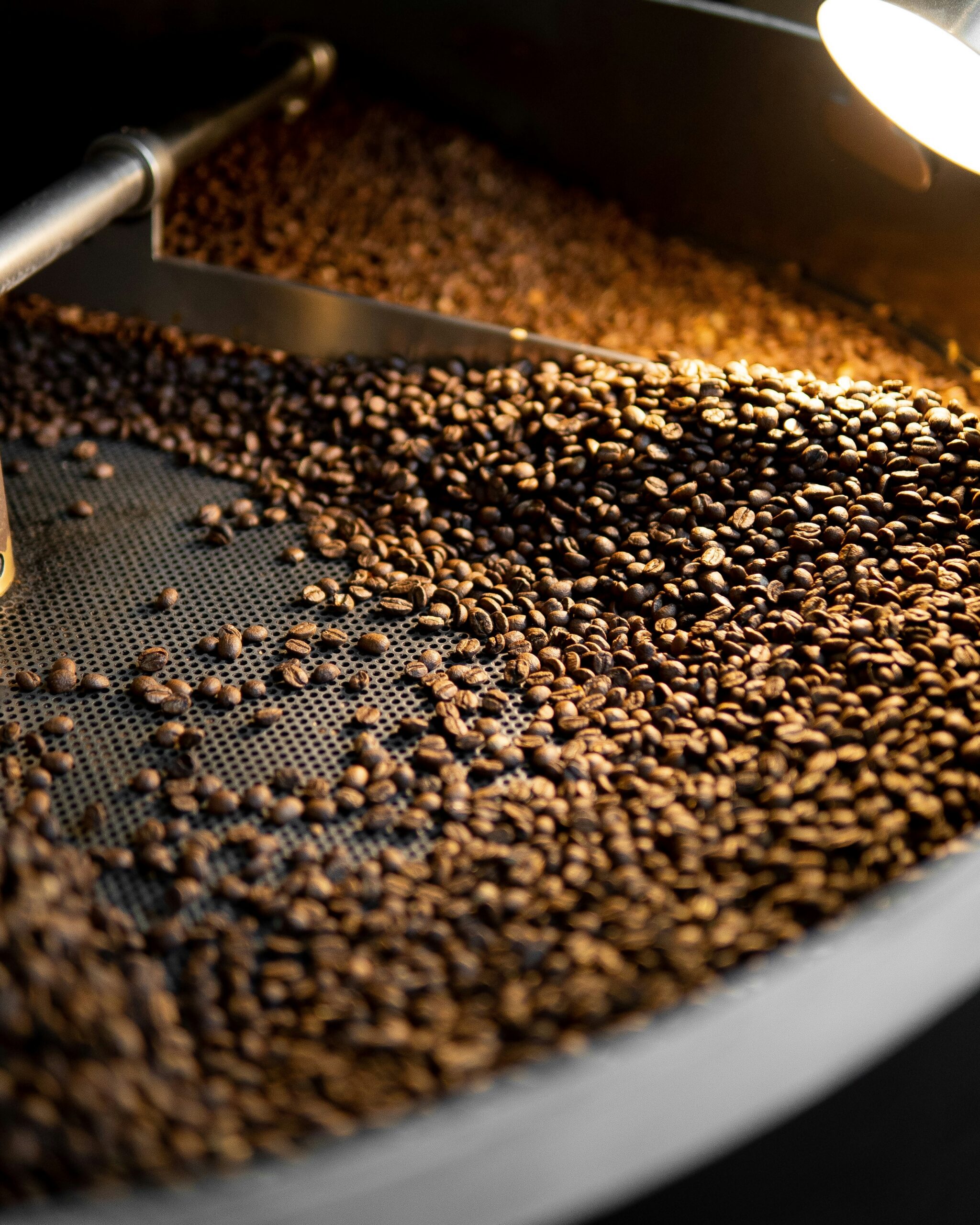 Refroidissement des grains de café torréfiés sur un plateau industriel